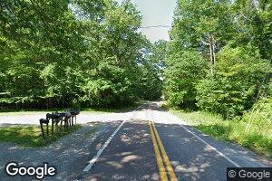 14 Mason Run Estate, Bruceton Mills, WV 26525