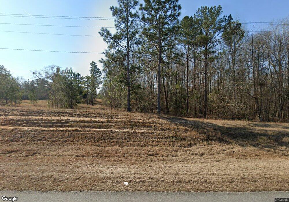 1695 Columbus Hwy, Box Springs, GA 31801 - photo 1