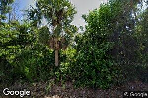 12338 Dolphin Rd, Pine Island Center, FL 33922