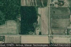 W4150 Center Rd, Owen, WI 54460