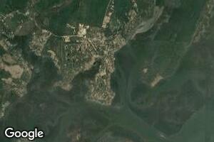 37 Sutherland Bluff (Comm Dock), Shellman Bluff, GA 31331