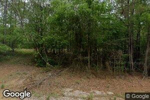 694 Pettus Rd, Lapine, AL 36046