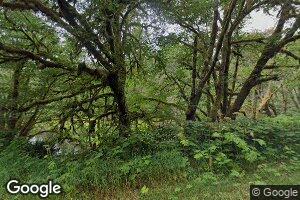 86080 Sweet Creek Rd, Mapleton, OR 97453