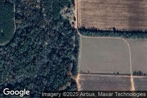 244 Tower Rd, Fort Gaines, GA 39851