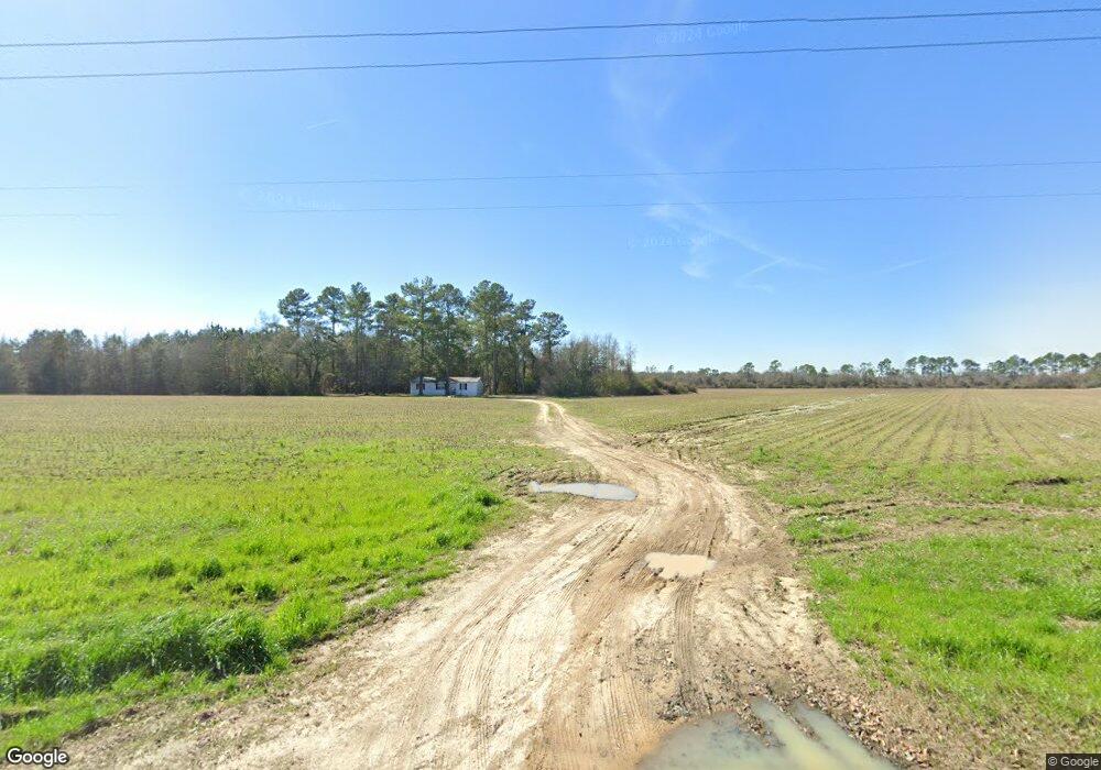 651 Kierce Rd, Pelham, GA 31779 - photo 1