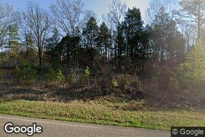 3310 Republican Grove Rd, Atwood, TN 38220