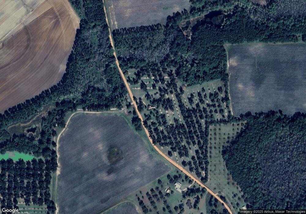 3078 Son Wright Rd, Dixie, GA 31629 - photo 1