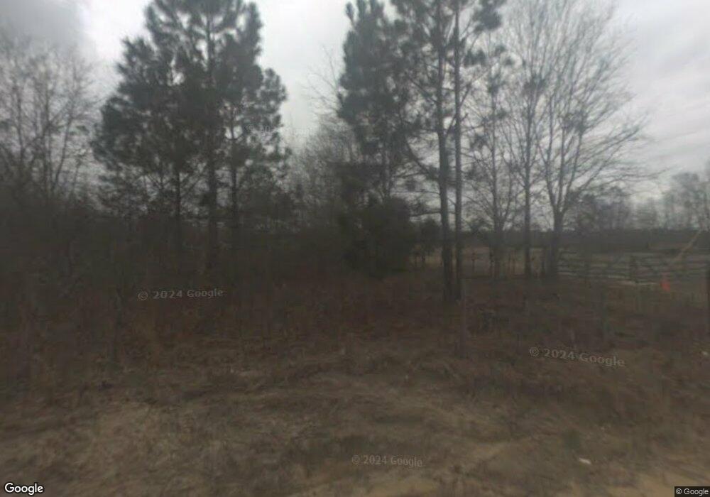 3599 Ferguson Rd, Ailey, GA 30410 - photo 1