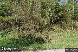 238 Wilson Cemetery Rd NE, Check, VA 24072