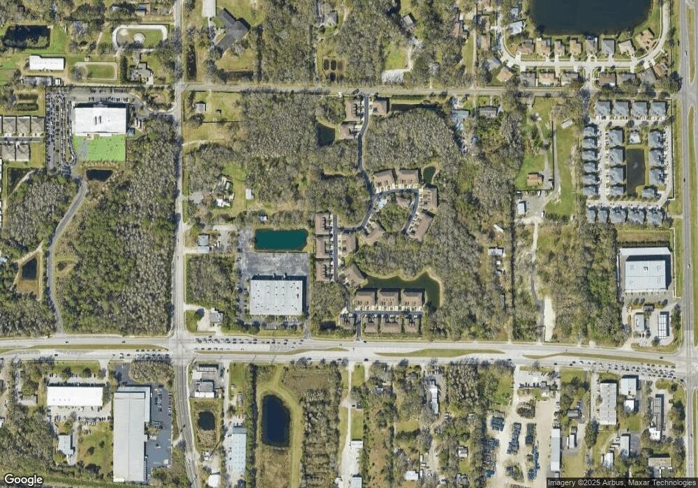 10127 Tranquility Way unit 10127, Tampa, FL 33625 - photo 1