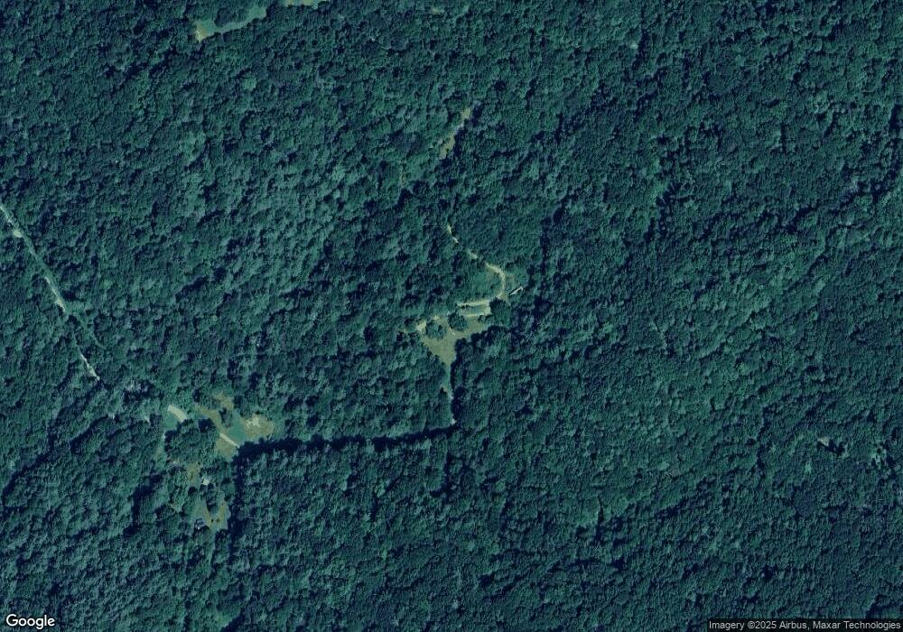 817 Nettle Creek Rd, Vesuvius, VA 24483 - photo 1