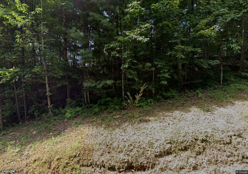 165 Deerstand Dr unit 12, Ellijay, GA 30540 - photo 1