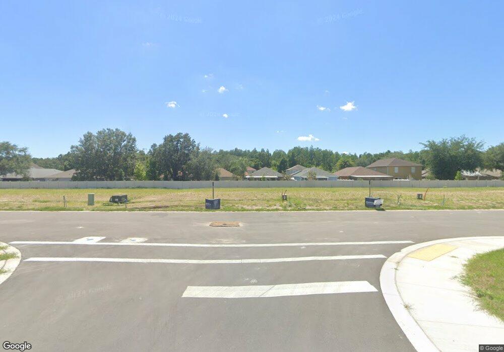 3773 Bigleaf Mahogany Ln, Land O Lakes, FL 34638 - photo 1