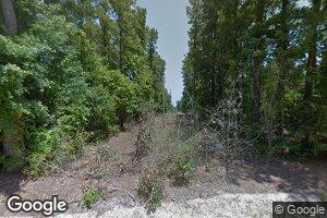 867 Boyd Chewning Rd, Patrick, SC 29584