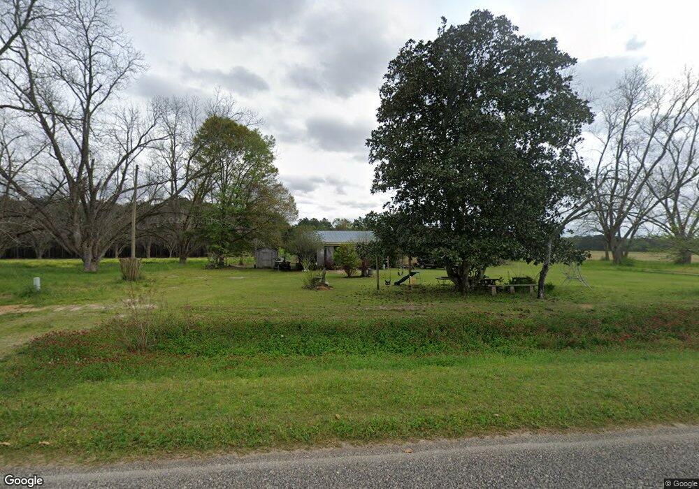 434 Old Newton Rd, Pelham, GA 31779 - photo 1