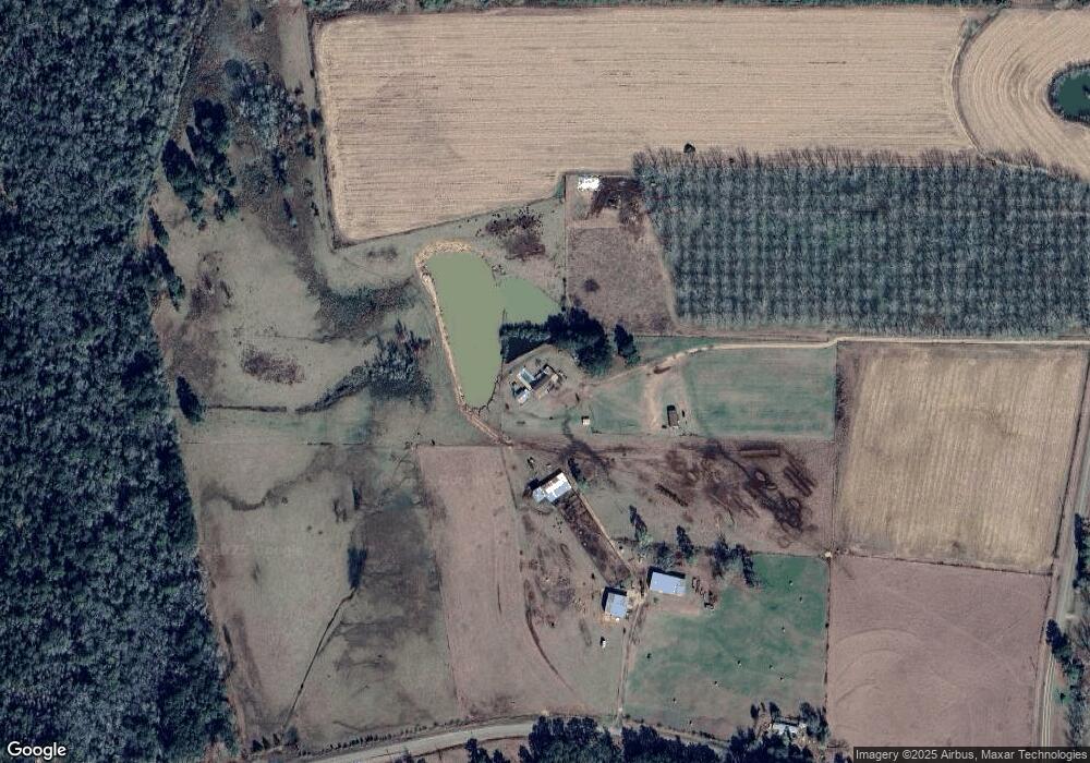 175 Old Newton Rd, Pelham, GA 31779 - photo 1