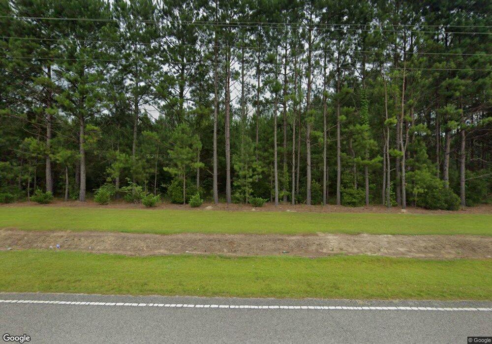 1749 Dirty Branch Rd, Conway, SC 29527 - photo 1
