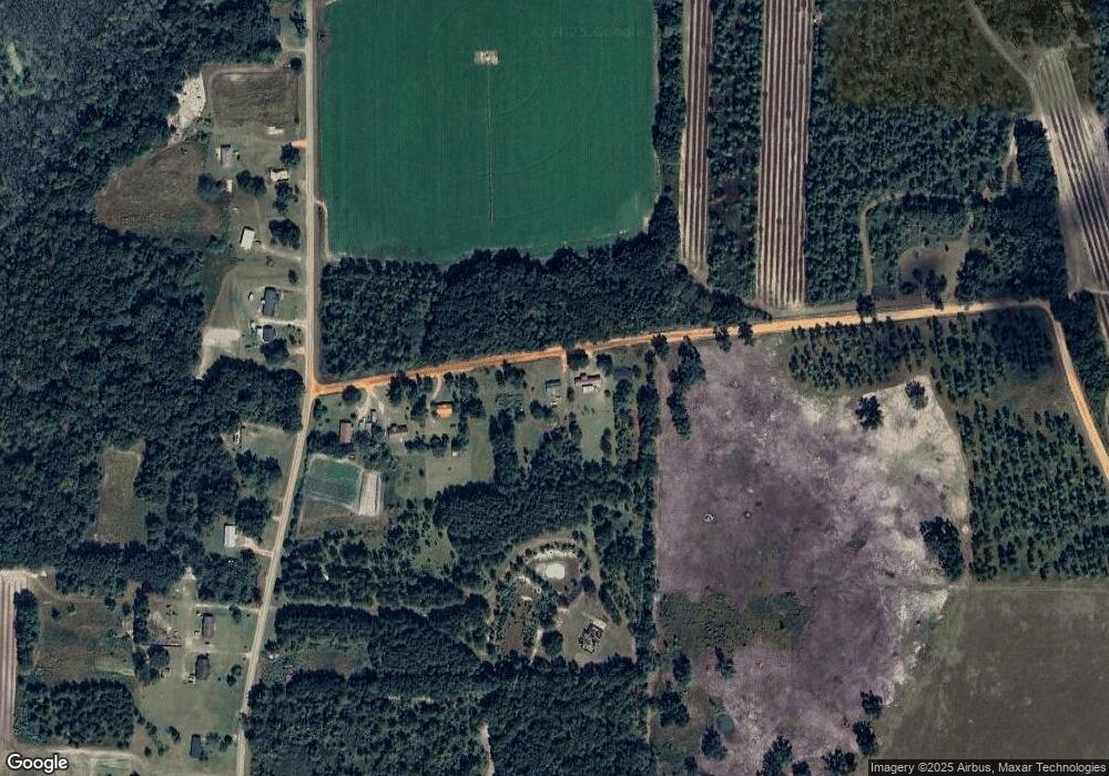 134 Collins Rd, Damascus, GA 39841 - photo 1