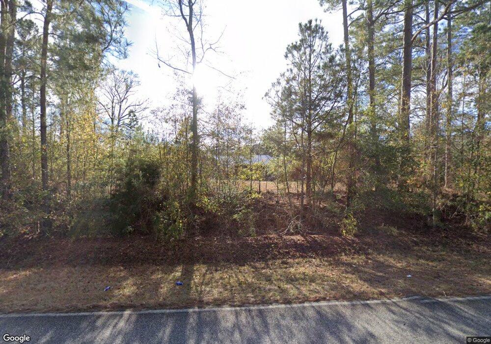 4242 Lake Douglas Rd, Climax, GA 39834 - photo 1