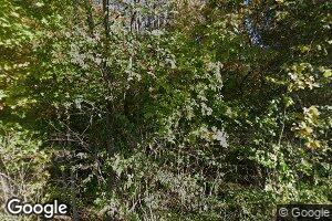 474 E 75th St, Indianapolis, IN 46240