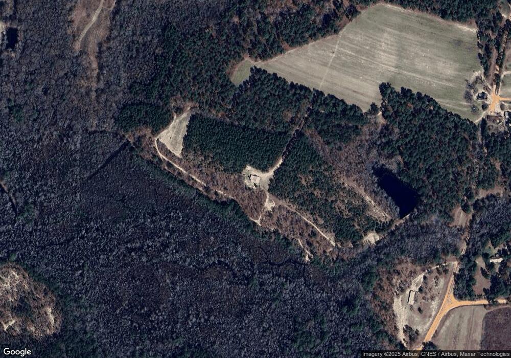 11333 Paddy Ford Rd, Metter, GA 30439 - photo 1