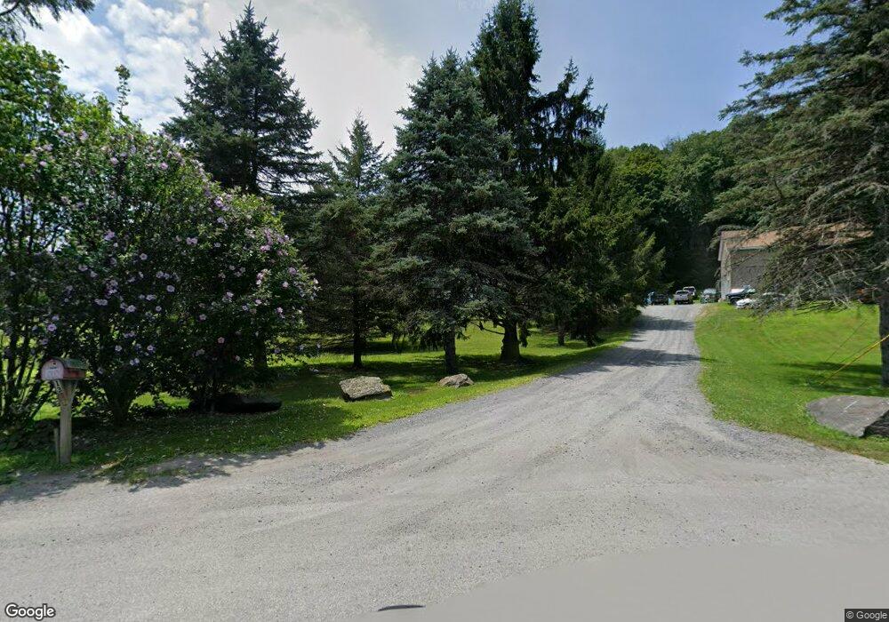 13 Willow Ln, Wassaic, NY 12592 - photo 1