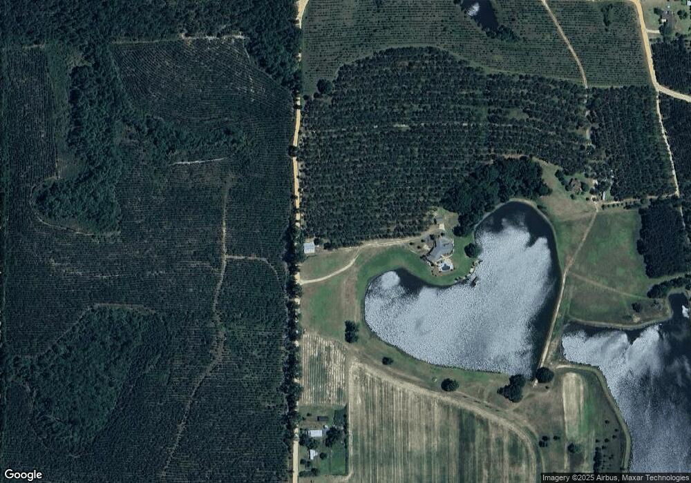 189 Carver Lake Rd, Alma, GA 31510 - photo 1