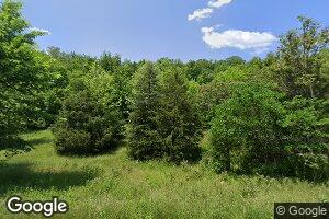 378 Highview Cir, Bruner, MO 65620