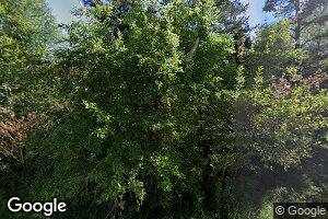 439 Cannon Hill Rd, Perry, ME 04667