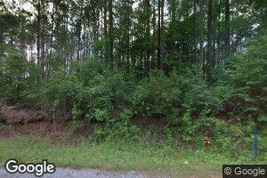 1109 Mosley Bridge Rd, Gilbertown, AL 36908