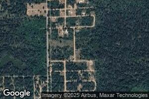 8342 S Custer Rd, Idlewild, MI 49642