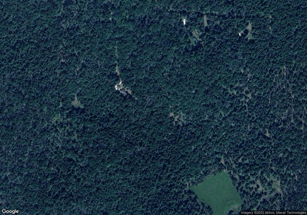 5207 W Long Dr, Baldwin, MI 49304 - photo 1