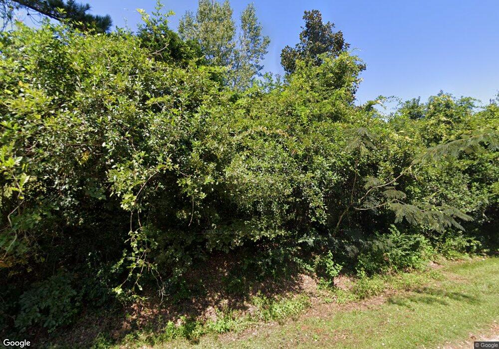 562 Satilla River Hills Rd, Willacoochee, GA 31650 - photo 1