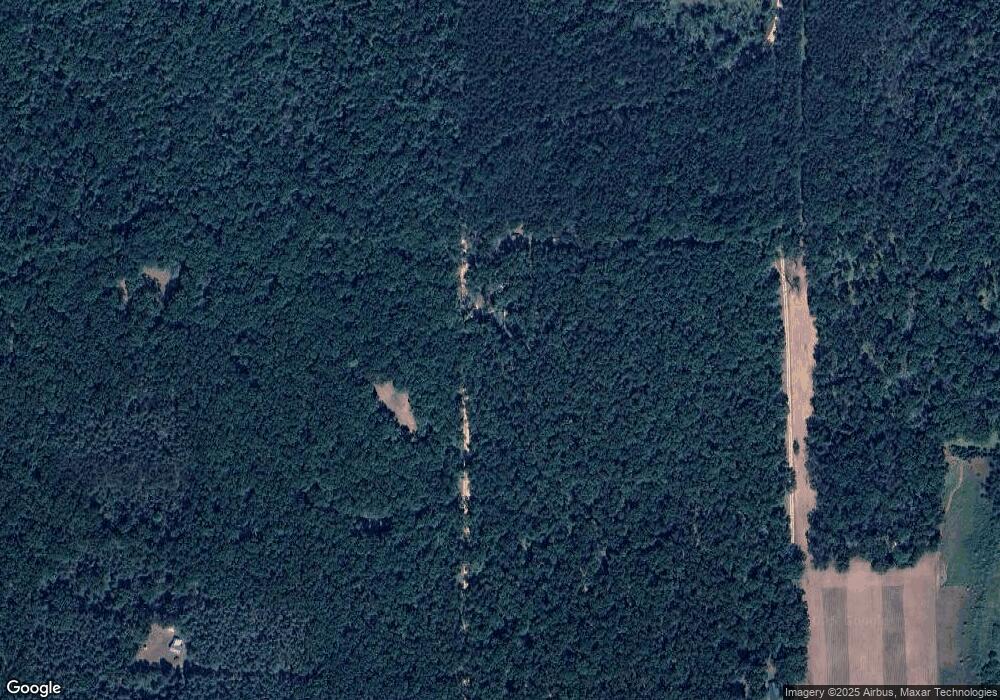 10362 N Centerline Rd, Bitely, MI 49309 - photo 1