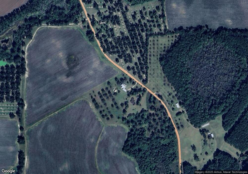 2871 Son Wright Rd, Dixie, GA 31629 - photo 1