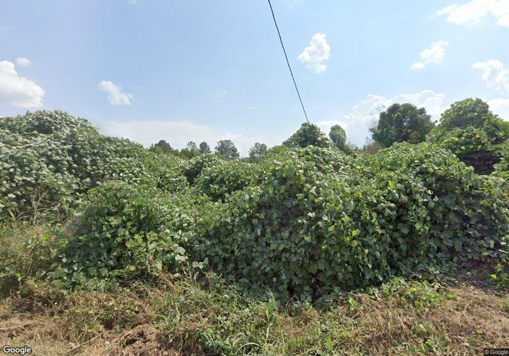 1115 Old Lowell Mill Rd, Carrollton, GA 30116 - photo 1