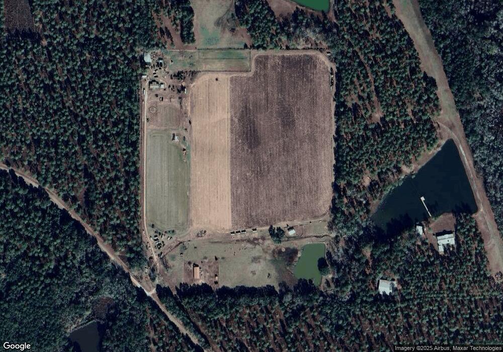 345 Widow White Rd, Meigs, GA 31765 - photo 1