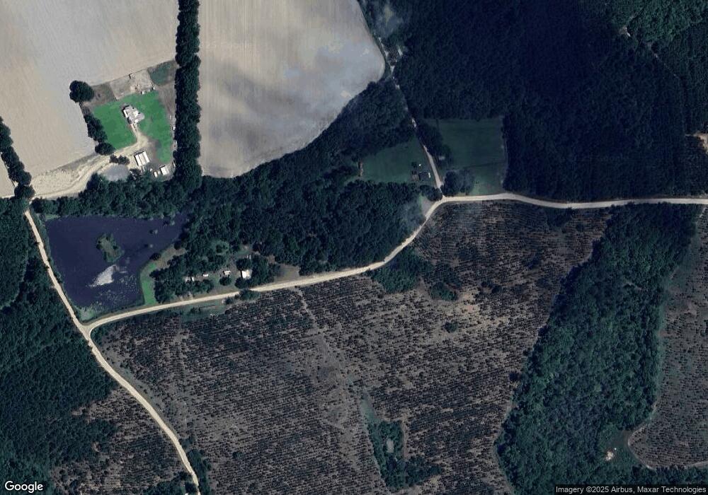 168 S Chad Lake Rd, Alma, GA 31510 - photo 1