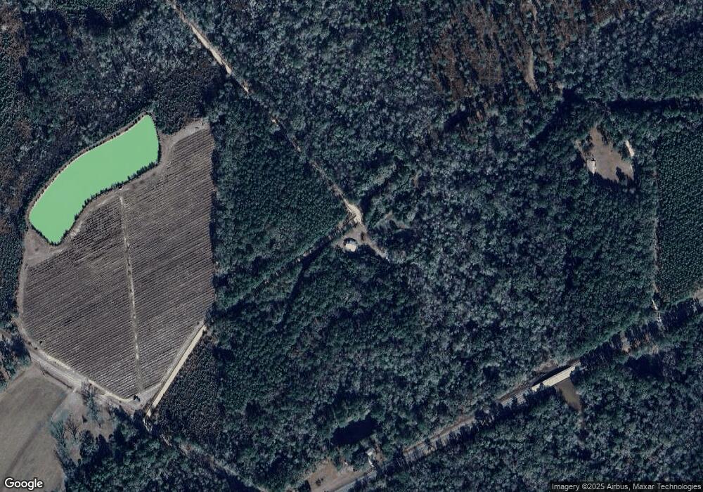 244 Twin Bridge Rd, Meigs, GA 31765 - photo 1