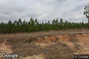 5025 Chester Hwy, Chester, GA 31012