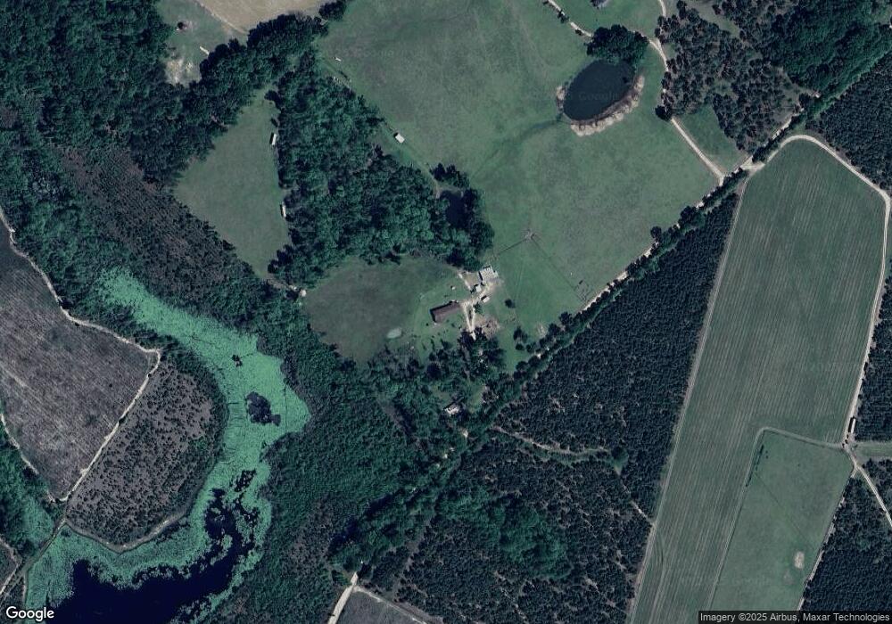 143 Frosty Boone Ln, Rhine, GA 31077 - photo 1