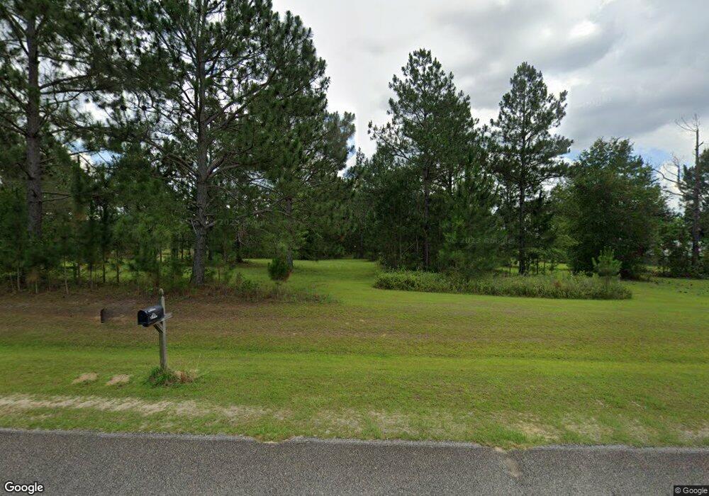 198 Hudson Rd, Poulan, GA 31781 - photo 1