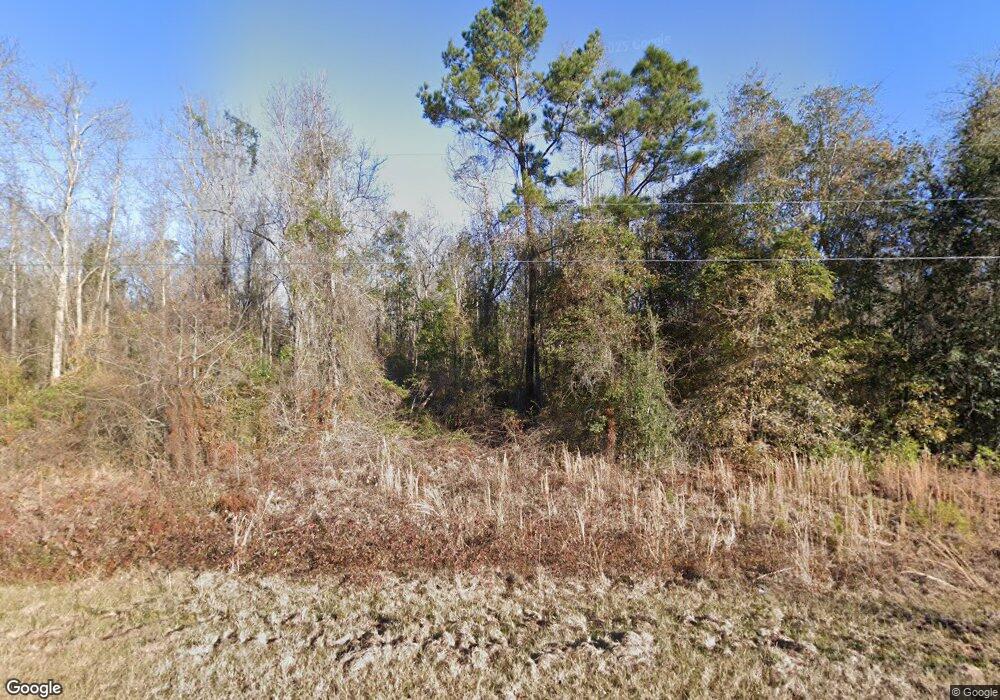 188 Bell Dixon Rd, Climax, GA 39834 - photo 1