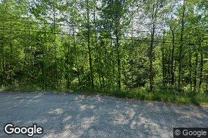 1455 Hornet Hwy, Burton, WV 26562
