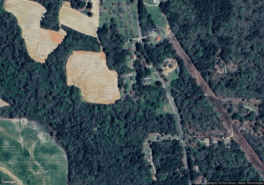 2199 Cowart Ln, Pelham, GA 31779 - photo 1