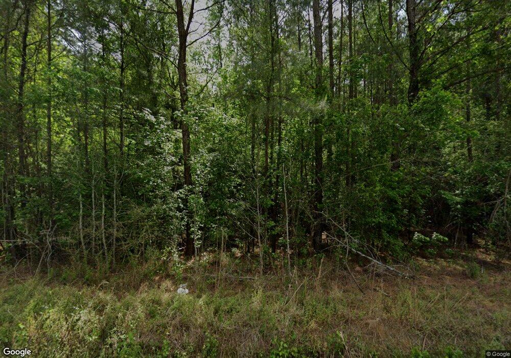 3732 Highway 65, Conway, SC 29526 - photo 1