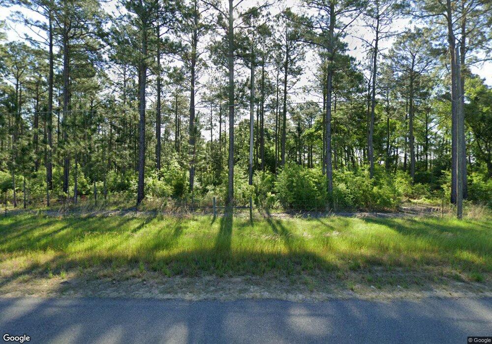 823 Tree Farm Rd, Moultrie, GA 31768 - photo 1