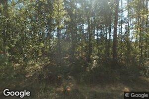 137 Gray Fox Forest Ln, Swansea, SC 29160