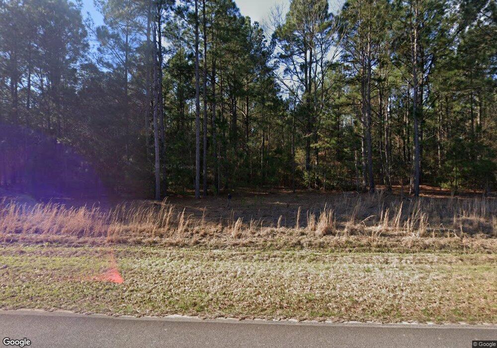 2427 Emmaus Red Hill Church Rd, Claxton, GA 30417 - photo 1