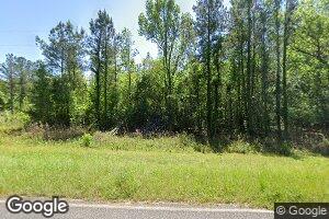 2036 Mount Olive Rd, Montrose, GA 31065
